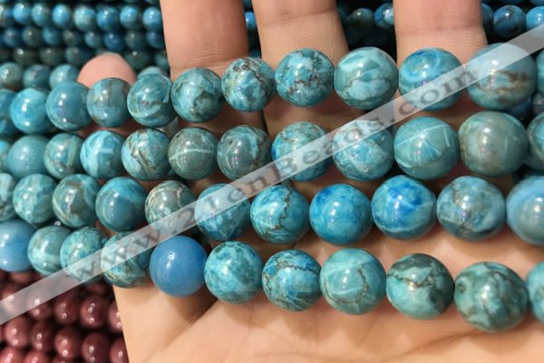 CTU3019 15.5 inches 12mm round South African turquoise beads