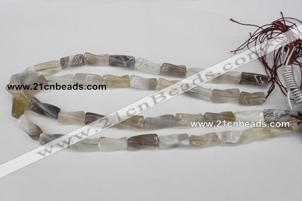 CTW123 15.5 inches 9*20mm twisted trihedron botswana agate beads