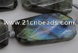 CTW457 20*38mm faceted & twisted rectangle labradorite beads