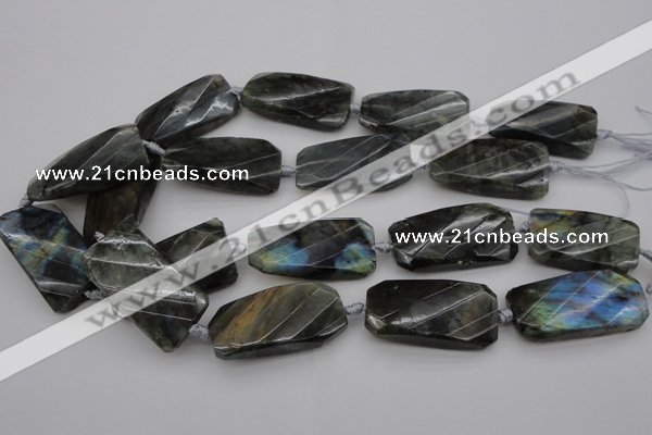 CTW457 20*38mm faceted & twisted rectangle labradorite beads