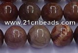 CWJ434 15.5 inches 12mm round wood jasper beads wholesale