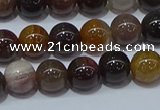 CWJ502 15.5 inches 8mm round Xinjiang wood jasper beads wholesale