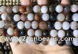 CWJ571 15.5 inches 10mm round Arizona petrified wood jasper beads