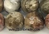 CWJ613 15 inches 10mm faceted round wooden jasper gemstone beads