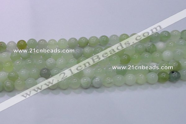 CXJ202 15.5 inches 8mm round New jade beads wholesale