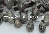 CZJ16 16 inches 8*12mm teardrop zebra jasper gemstone beads wholesale