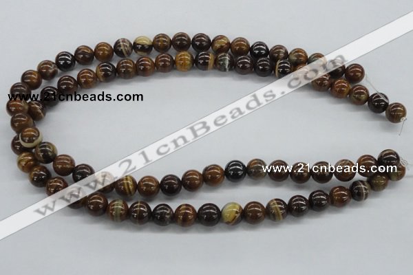 CZJ171 15.5 inches 10mm round iron zebra jasper beads wholesale