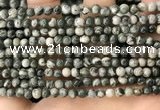 CZJ410 15.5 inches 4mm round green zebra jasper beads wholesale