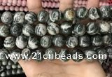 CZJ415 15.5 inches 14mm round green zebra jasper beads wholesale