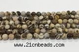 CZJ421 15.5 inches 6mm round Australian zebra jasper beads wholesale