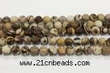 CZJ423 15.5 inches 10mm round Australian zebra jasper beads wholesale