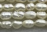 FWP151 14.5 inches 2.5mm rice white freshwater pearl strands