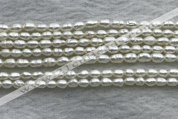 FWP153 14.5 inches 2mm - 3mm rice white freshwater pearl strands