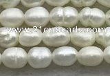 FWP157 14.5 inches 3mm - 4mm rice white freshwater pearl strands