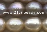 FWP194 15 inches 7mm - 8mm rice light purple freshwater pearl strands