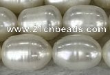 FWP201 15 inches 8mm - 9mm rice white freshwater pearl strands