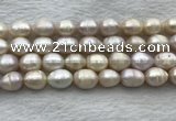 FWP206 15 inches 10mm - 11mm rice white freshwater pearl strands