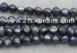 FWP257 15 inches 11mm - 12mm baroque black freshwater pearl strands