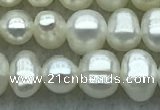 FWP28 14.5 inches 4.8mm potato white freshwater pearl strands