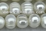 FWP37 14.5 inches 5mm - 6mm potato white freshwater pearl strands