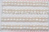 FWP455 half-drilled 5.5-6mm bread freshwater pearl beads