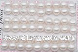 FWP463 half-drilled 9.5-10mm bread freshwater pearl beads