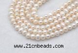 FWP480 14 inches 5mm - 6mm potato white freshwater pearl strands
