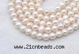 FWP482 14 inches 7mm - 8mm potato white freshwater pearl strands