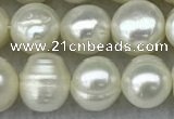 FWP56 15 inches 6mm - 7mm potato white freshwater pearl strands