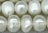 FWP65 15 inches 7mm - 8mm potato white freshwater pearl strands