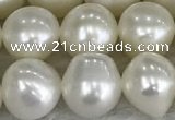 FWP79 15 inches 7mm - 8mm potato white freshwater pearl strands