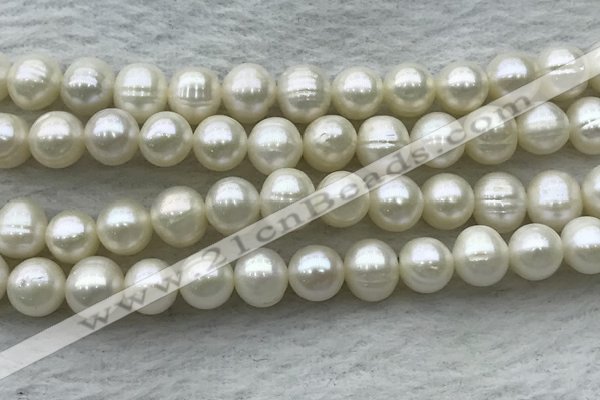 FWP80 15 inches 7mm - 8mm potato white freshwater pearl strands