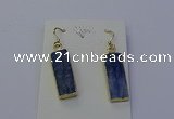 NGE5102 9*25mm rectangle blue kyanite earrings wholesale