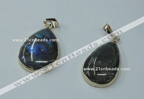 NGP1158 20*30mm - 25*35mm freeform labradorite pendants with brass setting