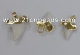 NGP2320 18*25mm - 25*30mm teeth-shaped shell pendants