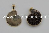 NGP4069 25*30mm – 30*35mm carved ammonite pendants wholesale