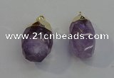 NGP6020 18*30mm - 22*35mm freeform amethyst pendants