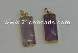 NGP6200 14*30mm - 15*38mm faceted rectangle amethyst pendants