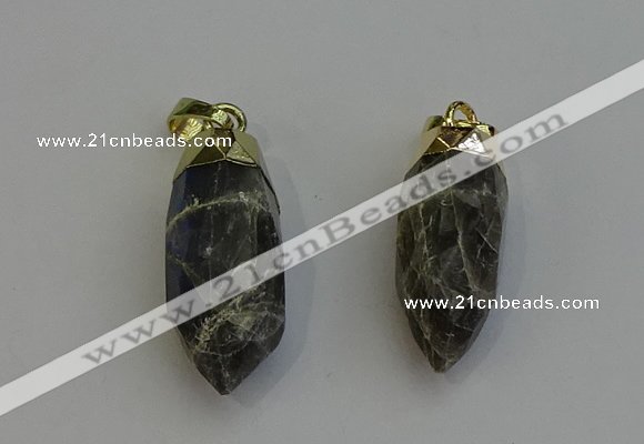 NGP6245 12*28mm - 15*30mm faceted bullet labradorite pendants