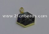 NGP6816 24*25mm hexagon labradorite gemstone pendants wholesale