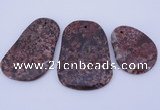 NGP941 5PCS 35-45mm*45-65mm freeform jasper gemstone pendants