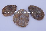 NGP955 5PCS 35-55mm*50-65mm freeform jasper gemstone pendants