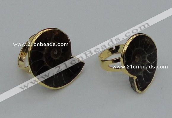 NGR206 25*25mm – 25*30mm carved ammonite rings wholesale